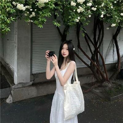 林中野兽